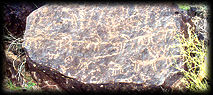 Ancient petroglyphs decorate a boulder at the Deer Valley Rock Art Center, in Phoenix, Arizona.