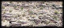 Stretch marks are easily seen on South Mountain, in Phoenix, Arizona.
