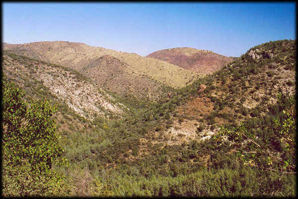 Rolling mountains in the eastern Superstition Wilderness, in central Arizona.