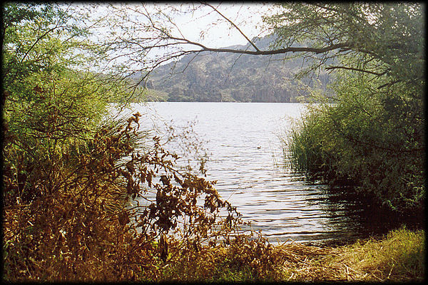 A quiet lagoon on Saguaro Lake, near the Superstition Mountains, outside Apache Junction, Arizona.