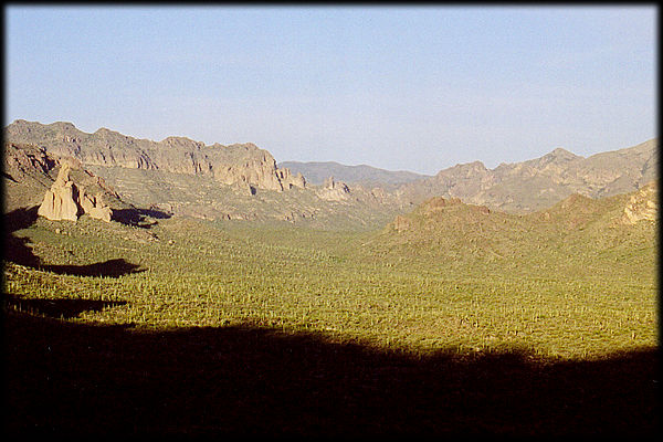 A Saguaro cacti-strewn basin in the Superstition Mountains of Arizona, looking east at sunset.